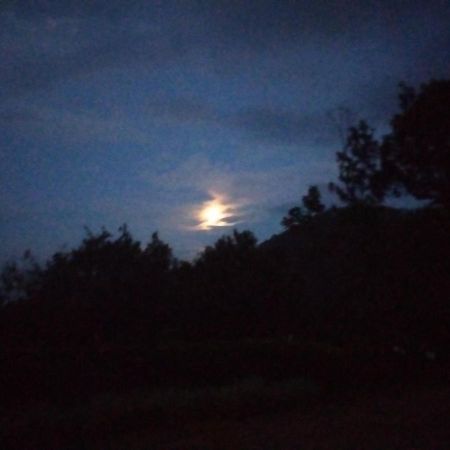 Abiyal Mountain Stay Madikeri Exteriör bild
