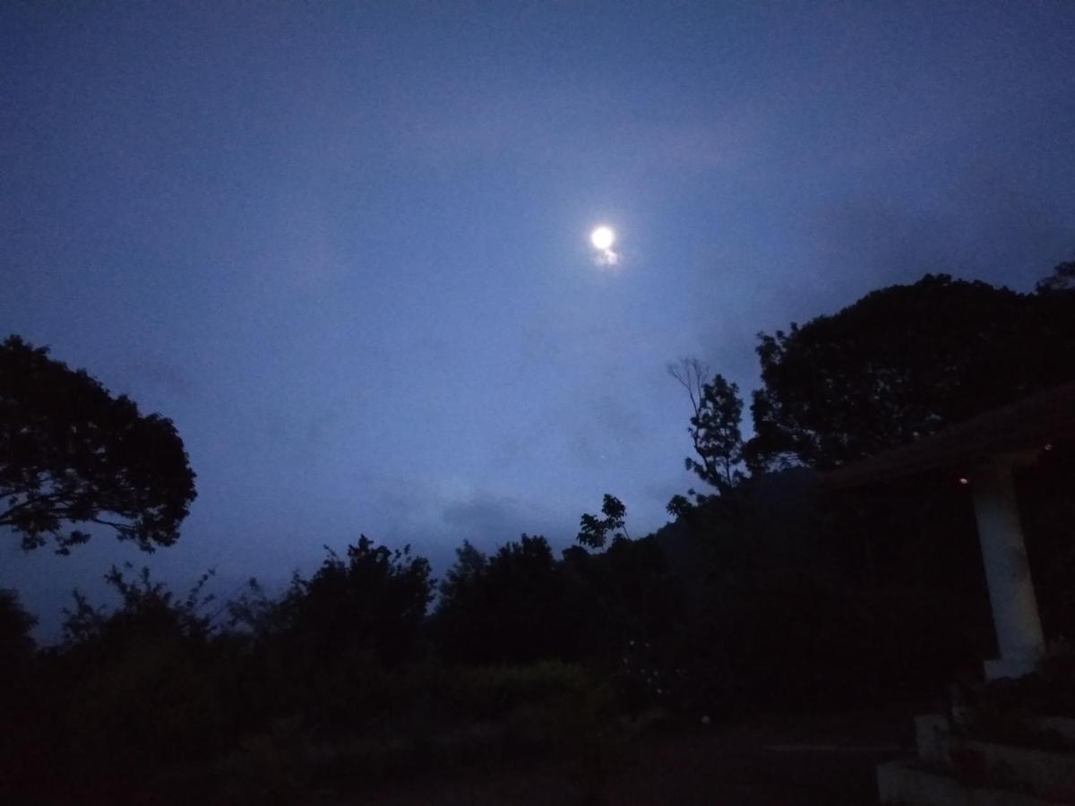 Abiyal Mountain Stay Madikeri Exteriör bild