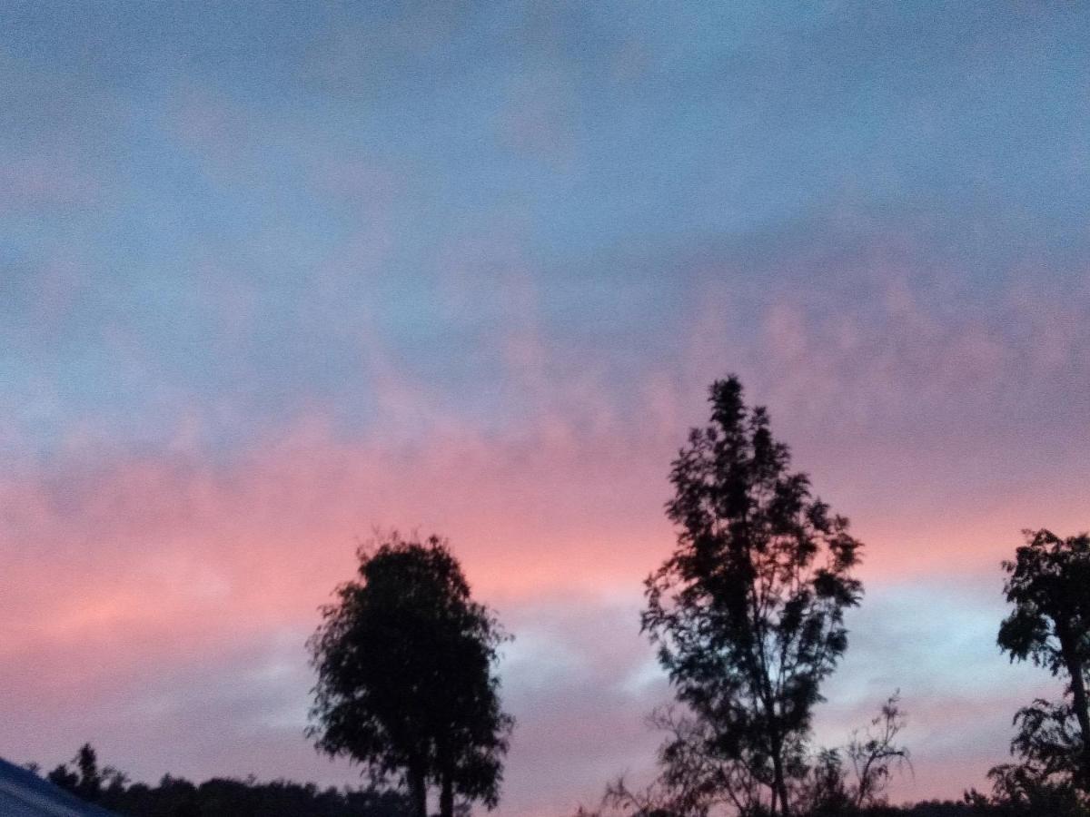 Abiyal Mountain Stay Madikeri Exteriör bild